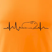 EKG morča EKG morča