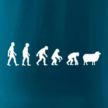 Evolúcia ovce