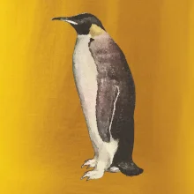 Tučniak kreslený vodovými farbami