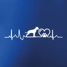 Nemecký boxer EKG Nemecký boxer EKG