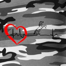 Moje srdce bije pre kone