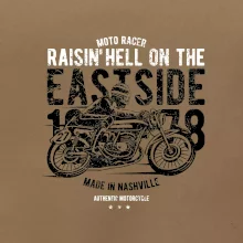 Raisin Hell Moto Racer