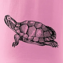 Ceruzkou kreslená korytnačka