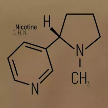 Molekulárna štruktúra Nikotín