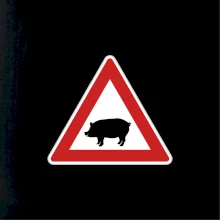 Dopravná značka - Pozor prasa domáca