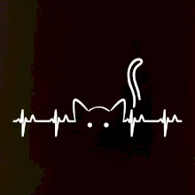 Mačka EKG Mačka EKG