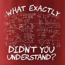 What exactly didn't you understand - physics