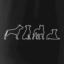 Americký stafordšírsky teriér v rôznych pozíciách