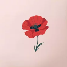 Vlčí mak kreslený veľký