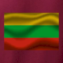 Litva vlajka obdĺžnik