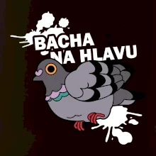 Bacha na hlavu