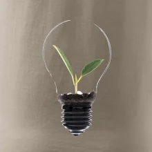 Žiarovka kvetináč