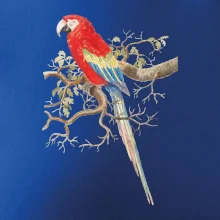 Papagáj  na listnatom strome