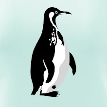 Tučniak čiernobiely z boku