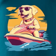 Zlatý retriever na vodnom skútri