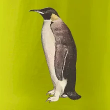 Tučniak kreslený vodovými farbami