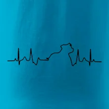 Stafordšírsky bulteriér ‎ EKG