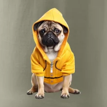 Mops v mikine Mops v mikine