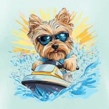 Yorkšírsky teriér na vodnom skútri