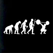 Evolution fitness
