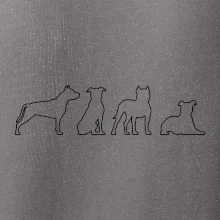 Americký stafordšírsky teriér v rôznych pozíciách