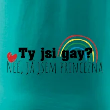 Gay princezna