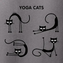 Mačacie jóga (Hana-creative)