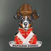 Napoleon domáci kríženec
