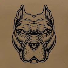 Americký stafordšírsky teriér hlava