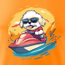 Lhasa Apso na vodnom skútri