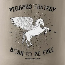 Pegasus fantasy
