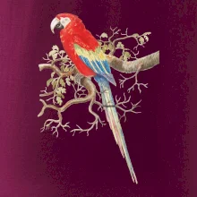 Papagáj  na listnatom strome