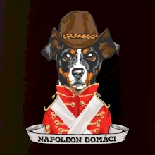 Napoleon domáci kríženec