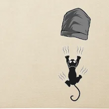 Mačka vypadla z vrecka