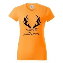 Harry - Expecto patronum