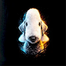 Obrázok poltón bedlingtonský teriér