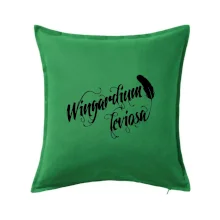 Harry - Wingardium Leviosa