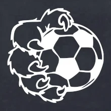 Medvedia laba futbal