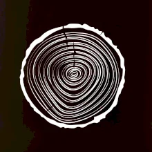 Letokruhy 20 bez veku