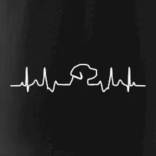 Labradorský retriever EKG Labradorský retriever EKG