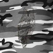 Sova bradatá Barred owl