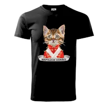 Napoleon domáci mačka Napoleon domáci mačka