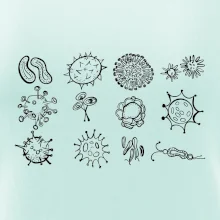 Set baktérií Set baktérií