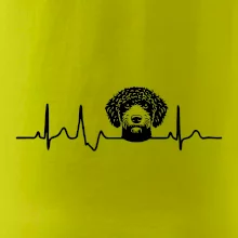 Lagotto romagnolo hlava EKG