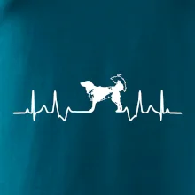 Český strakatý pes EKG