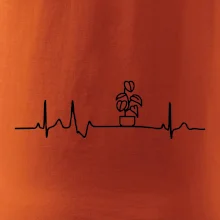 EKG Filodendron EKG Filodendron