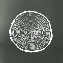 Letokruhy 35 bez veku