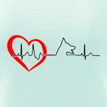 Nemecký ovčiak ekg