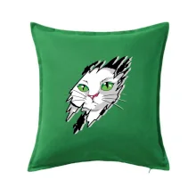 Kočka v roztrženém triku