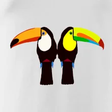 Dva barevní tukani (Moňas) Dva barevní tukani (Moňas)
